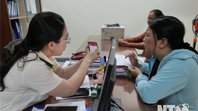 Đội Thuế liên huyện Ninh Phước - Thuận Nam nỗ lực thu ngân sách