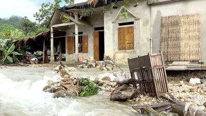 Starke Regenfälle und Erdrutsche verursachen Schäden an Häusern, Ernten und der Verkehrsinfrastruktur in den Bezirken Bac Quang und Hoang Su Phi.