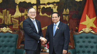 [Photo] Prime Minister Pham Minh Chinh receives the President of Asia-Pacific region of PowerChina Group