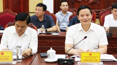 มหาวิทยาลัยวิทยาศาสตร์และเทคโนโลยีฮานอยและมหาวิทยาลัยการค้าต่างประเทศกำลังจะมีวิทยาเขตใหม่