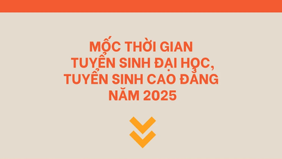 [インフォグラフィック] 2025年の大学入学タイムライン