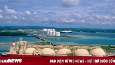 Đổi mới sáng tạo trong chuỗi giá trị ngành công nghiệp nhiệt điện LNG