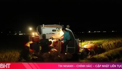 Đêm rộn ràng trên cánh đồng mùa gặt