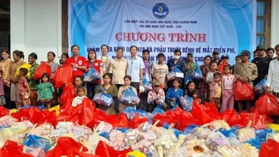 Quang Nam bietet medizinische Untersuchungen und Behandlungen an und überreicht den Menschen in der Provinz Sekong (Laos) Geschenke
