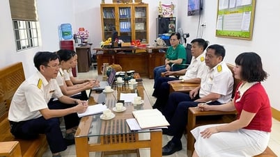교육 부문 활동에 대한 세금 정책 시행을 위한 학교 지원
