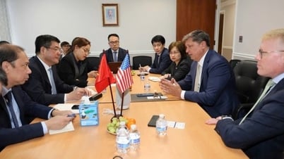 Компания SpaceX миллиардера Илона Маска инвестирует 1,5 миллиарда долларов США во Вьетнам