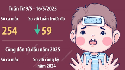 ទីក្រុងហាណូយបានកត់ត្រាករណីជំងឺដៃ ជើង និងមាត់ចំនួន ២៥៤ ករណីក្នុងសប្តាហ៍ចាប់ពីថ្ងៃទី ៩ ដល់ថ្ងៃទី ១៦ ខែឧសភា។