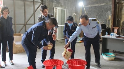 Mở đợt cao điểm đấu tranh ngăn chặn, đẩy lùi tình trạng buôn lậu, gian lận thương mại trên địa bàn tỉnh