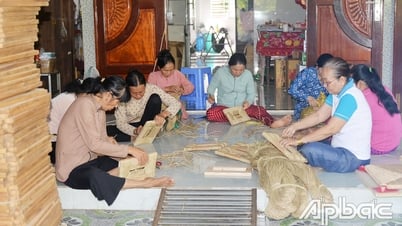 Tiền Giang: Chú trọng đào tạo, phát triển nghề cho phụ nữ nông thôn