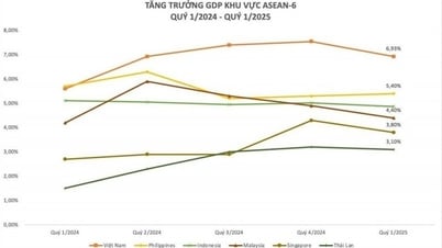 GDP Q1/2025: Vietnam leads ASEAN-6
