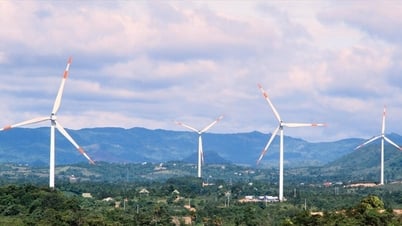 Disziplinarmaßnahmen gegen den ehemaligen stellvertretenden Direktor des Planungs- und Investitionsministeriums von Dak Nong, Nguyen Duong