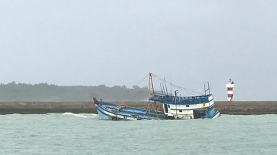 Binh Thuan: Un pescador murió mientras buceaba en la zona del archipiélago de Truong Sa.