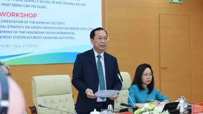 Tín dụng xanh: Động lực thúc đẩy chiến lược tăng trưởng xanh quốc gia