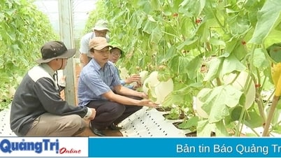Đào tạo nguồn nhân lực đáp ứng yêu cầu chuyển đổi số