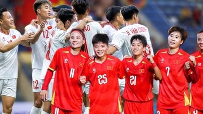 ベトナムU22代表とベトナム女子代表は、SEA Games 33の第1シードグループに所属している。