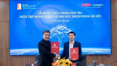 Triển khai dự án 'GELEX Connect' tiếp cận nguồn nhân tài tương lai