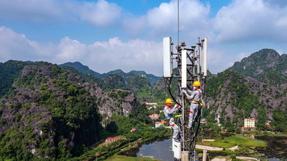 Révélation de l'opérateur réseau utilisant la « fréquence d'or » pour les réseaux 4G et 5G