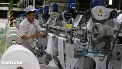 Transformation numérique : un « levier » pour les entreprises afin d'accroître leur productivité et de renforcer leur compétitivité