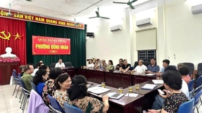 District de Hai Ba Trung : 177 304 commentaires sur la modification et le complément de la Constitution de 2013