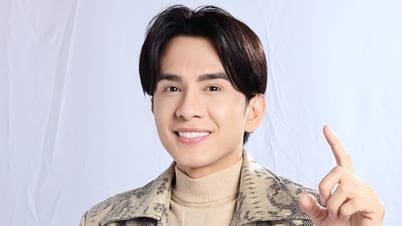 ¿Dan Truong prefiere a Phuong My Chi en los programas de música?