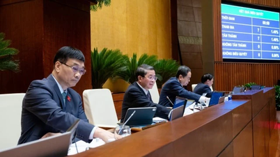 The National Assembly issued a Resolution adjusting and supplementing the state budget estimate for 2025.