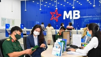 Inspector points out a series of backlogs at MB Bac Sai Gon