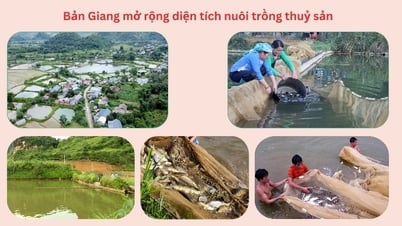 Ban Giang erweitert Aquakulturgebiet