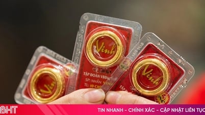 Giá vàng hôm nay 21/5: Tiếp tục lao dốc không phanh, nhà đầu tư nên làm gì?