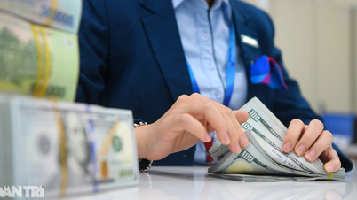 BIDV, Vietcombank, VietinBank의 국가 재무부 예금이 5년 만에 최고치를 기록했습니다.