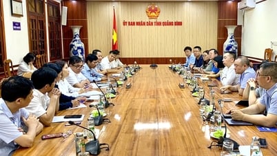 Chinese businesses survey and explore investment opportunities in Quang Binh