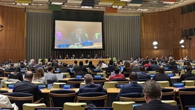 Vietnam supports efforts to improve the effectiveness of United Nations operations.
