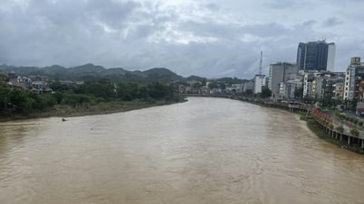 Proaktive Reaktion auf Starkregen in der Provinz - Cao Bang Electronic Newspaper