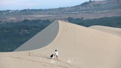 ปลุกศักยภาพการท่องเที่ยวบิ่ญถ่วนผ่านภาพยนตร์