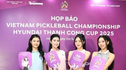 Những nét đặc biệt của Giải Pickleball Việt Nam – Cúp Hyundai Thành Công 2025