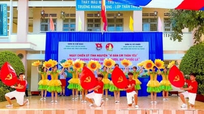 Phát huy hiệu quả Quỹ Phòng, chống tác hại của thuốc lá