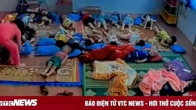 Cô giáo mầm non ở Hòa Bình bạo hành trẻ
