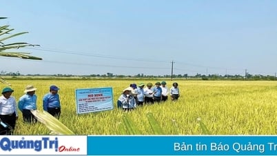 Triệu Phong đa dạng các mô hình kinh tế gắn với xây dựng nông thôn mới