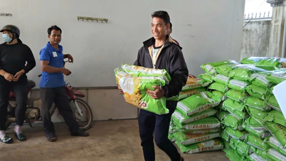 Providing 8 tons of TBR97 rice seeds to farmers in Ia Khuol commune