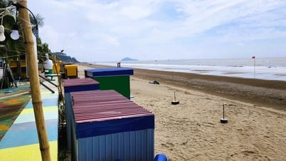 Scène incroyable sur la célèbre plage de Thanh Hoa : démantèlement simultané