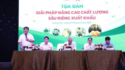Tọa đàm “Giải pháp nâng cao chất lượng sầu riêng xuất khẩu”