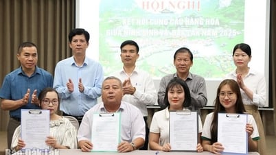 Nhiều biên bản ghi nhớ tiêu thụ sản phẩm giữa doanh nghiệp hai tỉnh Đắk Lắk và Ninh Bình được ký kết