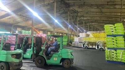 Министерство сельского хозяйства и охраны окружающей среды начинает масштабную кампанию по борьбе с контрабандой и контрафактной продукцией