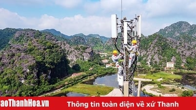 ក្រុមហ៊ុន Viettel បានដេញថ្លៃដោយជោគជ័យនូវក្រុមតន្រ្តី 700 MHz