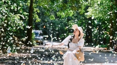 Lịch trình tham quan Cúc Phương mùa bướm và đom đóm
