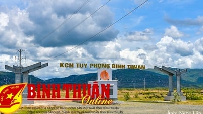 Công nghiệp Bình Thuận: Đến hồi nhộn nhịp