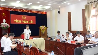 イエンバイ大臣は、ラオカイ-ビンイエン500kV送電線プロジェクトの敷地の整地と実施状況に関するオンライン会議に出席した。