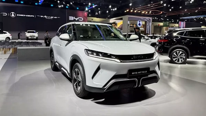 BYD Atto 2 стоимостью всего 338 миллионов донгов готовится к запуску во Вьетнаме