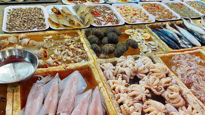 Top 5 des marchés de fruits de mer les plus célèbres de Da Nang