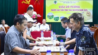 ការប្រកួតអុកដ៏រំភើបសម្រាប់មនុស្សចាស់នៅខេត្ត Thai Nguyen