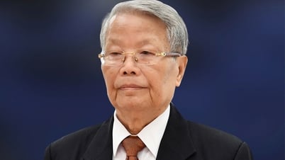 Former President Tran Duc Luong passed away